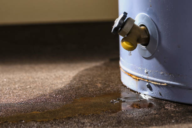 Best Residential water damage restoration  in North New Hyde Park, NY