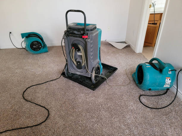 Best Professional water damage repair  in North New Hyde Park, NY