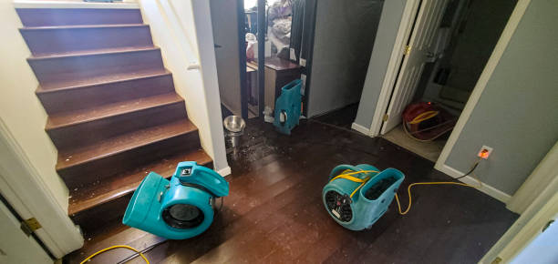 Best Emergency water damage restoration  in North New Hyde Park, NY