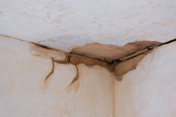 Best 24-hour water damage restoration  in North New Hyde Park, NY