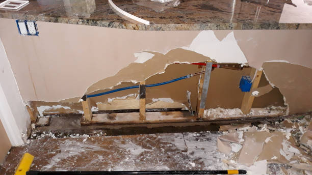 Best Water damage contractors near me  in North New Hyde Park, NY