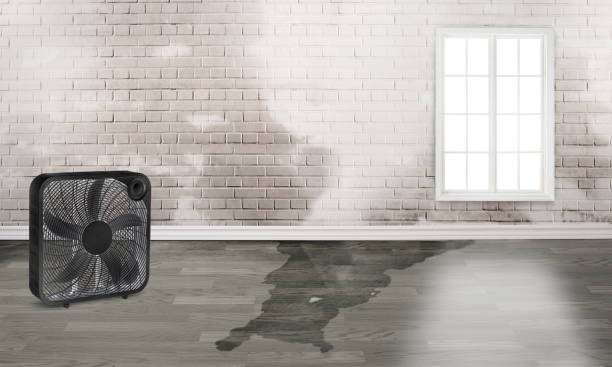 Best Commercial water damage restoration  in North New Hyde Park, NY