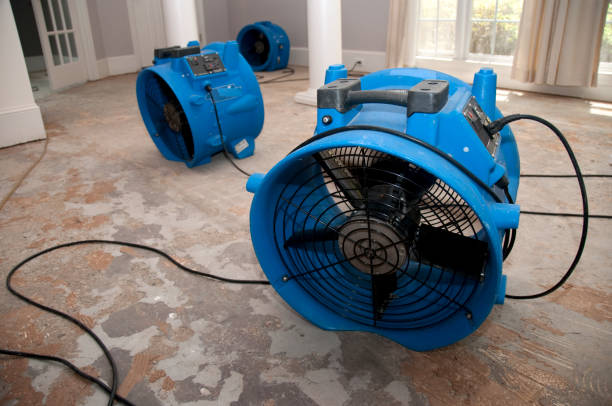 Best Emergency water damage restoration  in North New Hyde Park, NY