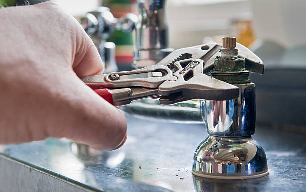Best Water damage cleanup near me  in North New Hyde Park, NY
