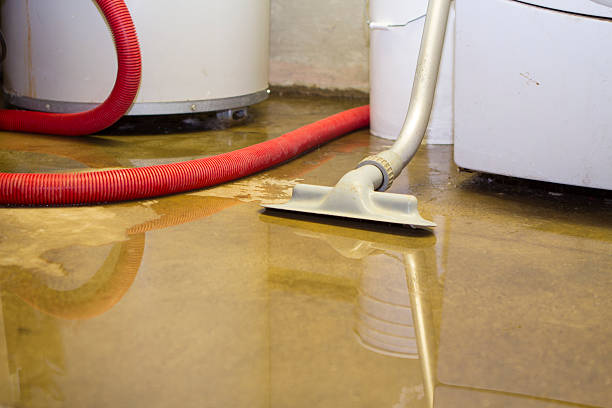 Best Basement water damage restoration  in North New Hyde Park, NY