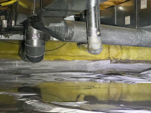 Best Water damage restoration near me  in North New Hyde Park, NY