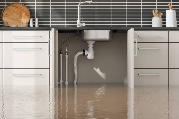 Best Flood damage cleanup  in North New Hyde Park, NY